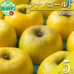 りんご シナノゴールド 訳あり 5kg