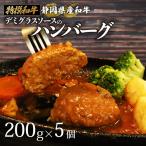 ハンバーグ 1kg