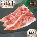 牛肉 宮崎牛 サーロイン ステーキ 200g
