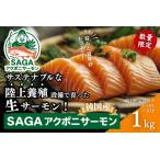 ふるさと納税 佐賀から未来へ!SAGAアクポニサーモン 1kg 100g×10P トラウトサーモン 国産 佐賀産 アクアポニックス:B400-007 佐賀県佐賀市