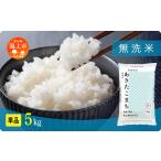 ショッピングふるさと納税 無洗米 ふるさと納税 《先行予約》無洗米 令和8年産 あきたこまち 5kg 無洗 秋田県潟上市