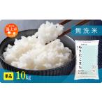 ショッピングふるさと納税 無洗米 ふるさと納税 《先行予約》無洗米 令和8年産 あきたこまち 10kg 無洗 秋田県潟上市
