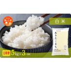 ショッピングふるさと納税 定期便 ふるさと納税 【3ヶ月定期便】米 新米 令和7年産 秋田県産あきたこまち 5kg 秋田県潟上市