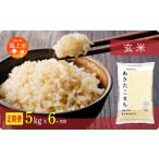 ふるさと納税 【6ヶ月定期便】玄米 令和7年産 あきたこまち 5kg 玄米 秋田県潟上市