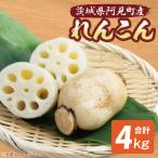 れんこん 4kg