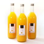 無添加甘夏ジュース 約720ml×3本