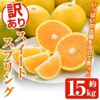 訳ありスイートスプリング 約15kg