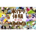 米作り体験コースA 稲刈り 収穫祭 餅つき