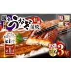 ふるさと納税 【 期間限定 】【 訳あり 】鹿児島県 大隅産 うなぎ 蒲焼 有頭 3尾 セット( 計310g ) KN007-002-07 ウナギ 鰻 訳アリ 期間限定.. 鹿児島県鹿屋市