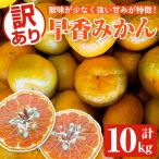 訳あり早香みかん 計10kg