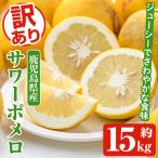 訳ありサワーポメロ 約15kg