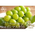 シャインマスカット 3kg