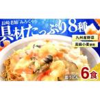 〈みろくや〉具材付き 冷凍 皿うどん 6食入