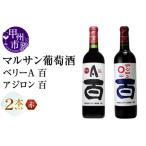 fu.... налог вино maru солнечный .. sake Berry A 100 ставрида японская long 100 2 шт. комплект (MG)B13-667 Yamanashi префектура .. город 