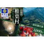 共通宿泊割引券 3,000円分