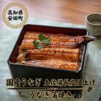 うなぎ蒲焼き 5尾