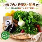 お米2合 野菜8~10品目セット 野菜 詰め合わせ