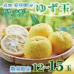 ゆず 万能 ゆず玉 TR-26