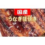 うなぎ蒲焼き 300g