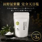 完全天日塩 田野屋 紫蘭 天然塩 100g×3袋