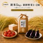 新米 ヒノヒカリ 5kg
