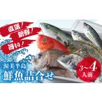 伊良湖直送 昼採れ鮮魚詰め合わせ特選セット