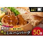 ふるさと納税 【ミニ】ハンバーグ 50枚 専門店ハンバーグ ハンバーグ ハンバーグ ハンバーグ ハンバーグ 北海道石狩市