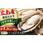冷蔵牡蠣 うつみ牡蠣小町 約4.5kg