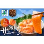 ふるさと納税 【年内発送】アトランティックサーモン 総量 1kg以上【フィレ エコパック 訳あり サイズ不揃い 刺身 さーもん 冷凍 北国からの贈.. 大阪府泉佐野市