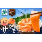 ふるさと納税 【年内発送】アトランティック サーモン 1kg前後【小分け 200g×5P 刺身 海鮮 カルパッチョ ムニエル 北国からの贈り物】 大阪府泉佐野市
