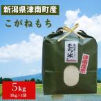 津南産 こがね餅米 5kg×1袋