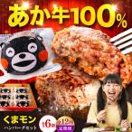 12回定期便 くまモン ハンバーグ セット