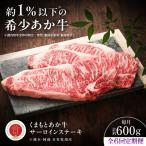 牛肉 ロース 全6回定期便 GI認証 くまもとあか牛リブロース…