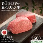 牛肉 全3回定期便 GI認証 くまもとあか牛シンシンブロック …