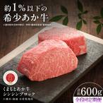 全6回定期便GI認証 くまもとあか牛シンシンブロック 約300g…