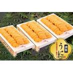 fu.... налог [12 месяц 7 день расчет минут до год внутри рассылка ]ezo морской еж hemicentrotus 100g×3.D-29007 Hokkaido корень . город 