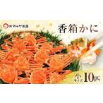 香箱蟹 せいこ 小サイズ 10匹 詰合せ