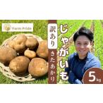 訳ありじゃがいも きたあかり 5kg