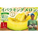 イバラキングメロン 青肉 1玉入