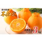 不知火 約3kg