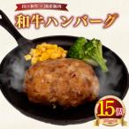 ハンバーグ 15個