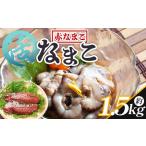 活ナマコ 1.5kg