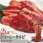 ジューシーカルビ醤油だれ漬け2kg 200g×10