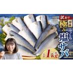 ふっくら 極み塩サバ 計約1kg 1切れ