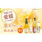 果実系リキュール 呑み比べ 4本セット お酒