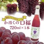 かほくの口福 高松ぶどう 720ml×1本
