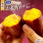 冷凍焼き芋 12本