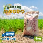 米 ひのひかり 5kg