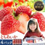 いちご とちあいか 4パック