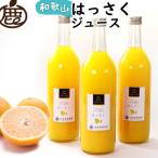 無添加はっさくジュース 約720ml×3本